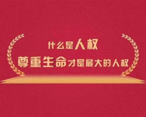 植物大战僵尸5